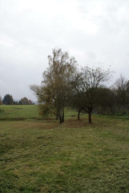 Agroturystyka U Maciejowej Vila Lanckorona Exterior foto